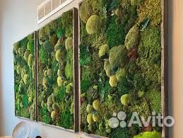 Эко-стиль из мха Арт: 214416