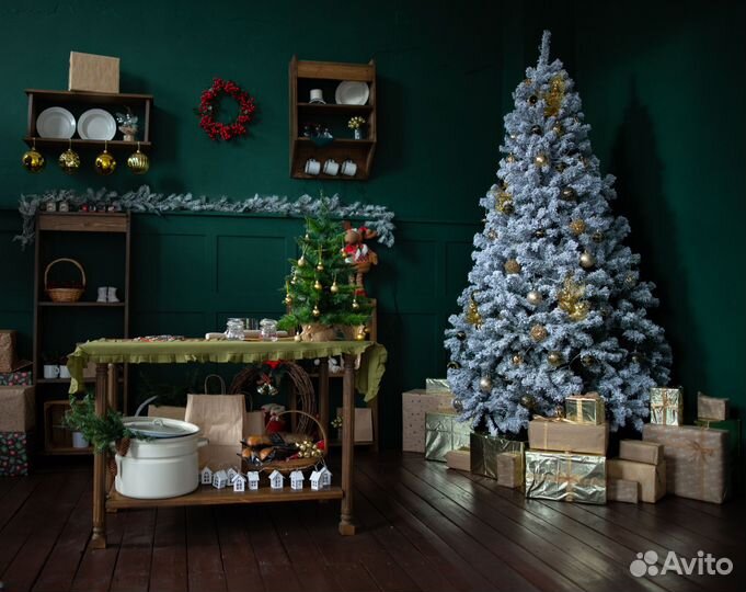 Фотостудия Pandi Новогодняя фотосессия