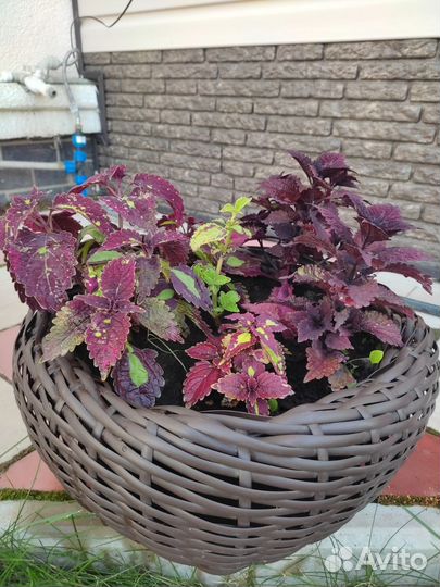 Кашпо из ротанга