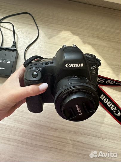 Canon EOS 6D Mark II + объектив EF 50mm f/1.8