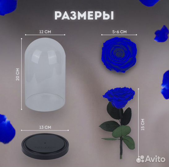 Вечная роза в колбе синяя