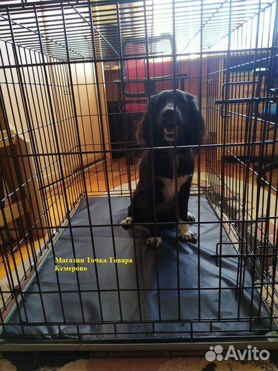 Клетка для собак магазин