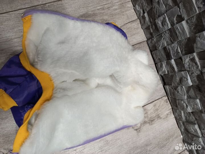 Одежда для собак мелких пород