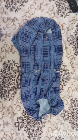 Комбинезон на собаку (для кобеля на мопса большева