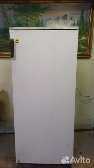 Холодильник с морозилкой Полюс Россия