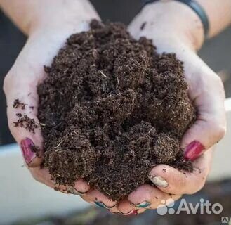 Перегной с доставкой