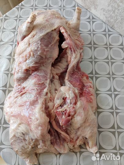 Нутрии на Мясо нутрии