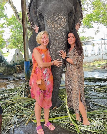 Йога и серфинг на Шри-Ланке – идеальный отдых