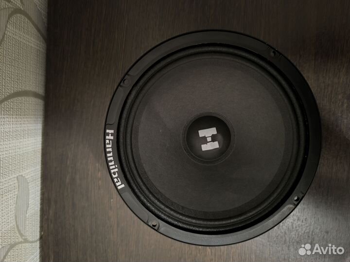 Динамик с усилителем