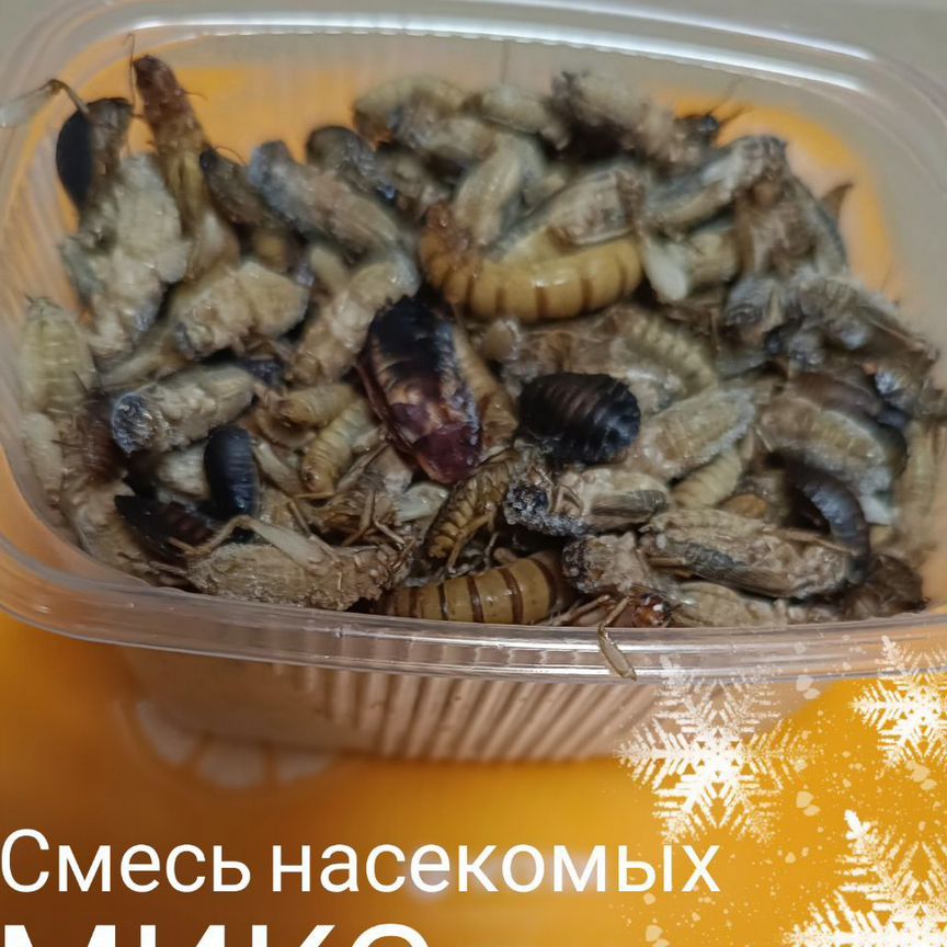 Насекомые замороженные смесь микс