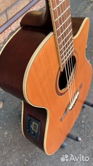 Гитара EKO массив Новая