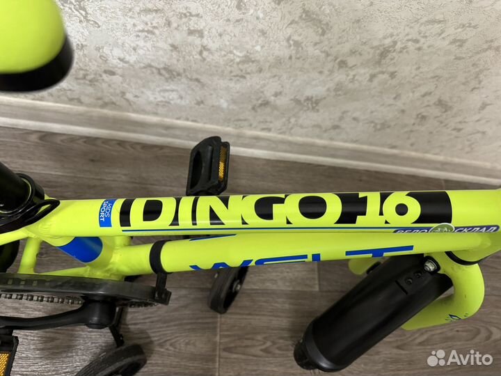 Велосипед детский Welt Dingo 16