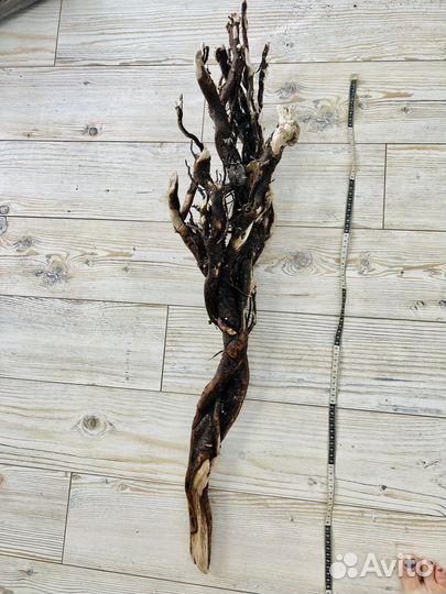 Коряги морские дрифтвуд