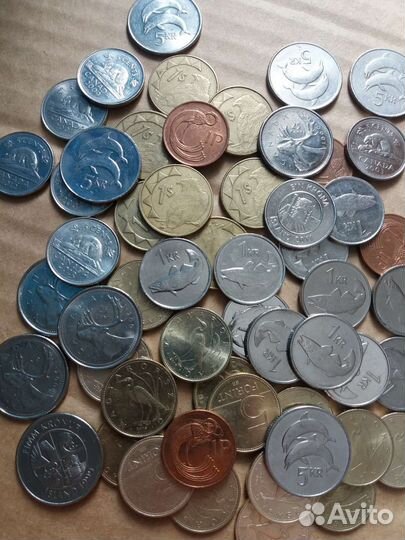 Монеты с животными,рыбы,птицы