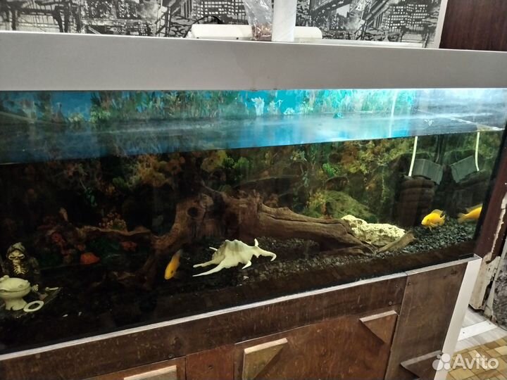 Аквариум
