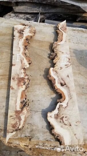 Заготовка, слэб, из горного капового тополя