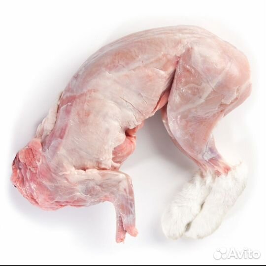 Мясо кролика