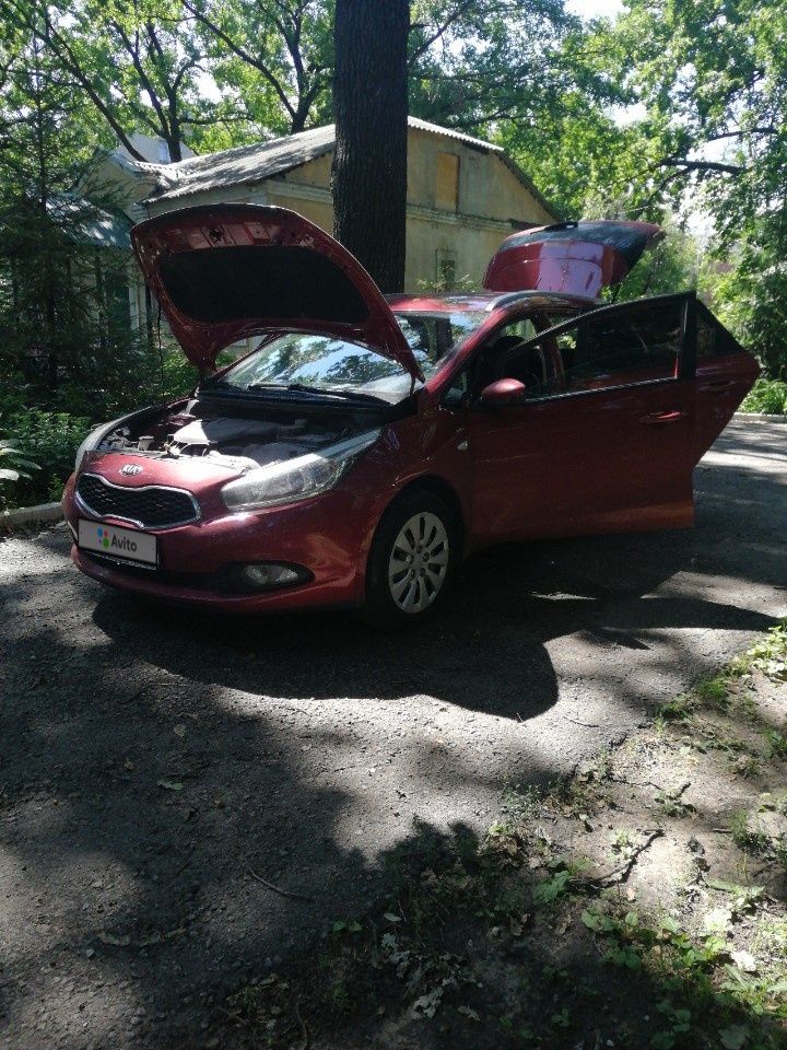 Kia Ceed: фото владельца