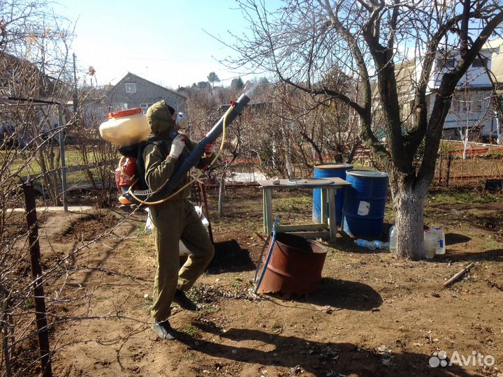 Перекопка, спил, скос, опрыскивание, выкорчевка, с