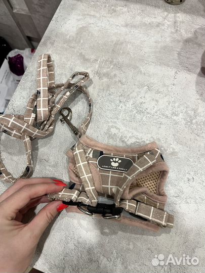 Одежда для собак