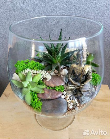 Флорариум с живыми суккулентами