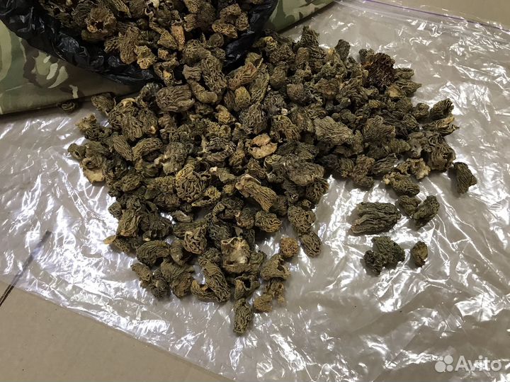 Сморчки сушёные