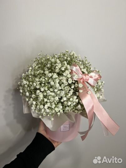 Гипсофила Цветы