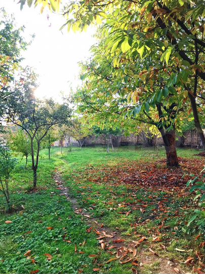 Дом 102 м² на участке 3 сот.