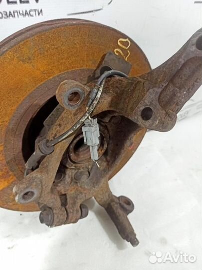 Кулак поворотный передний правый в сборе Murano (Z