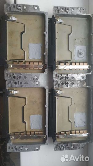 Шитые мозги на реногора f3r наличие