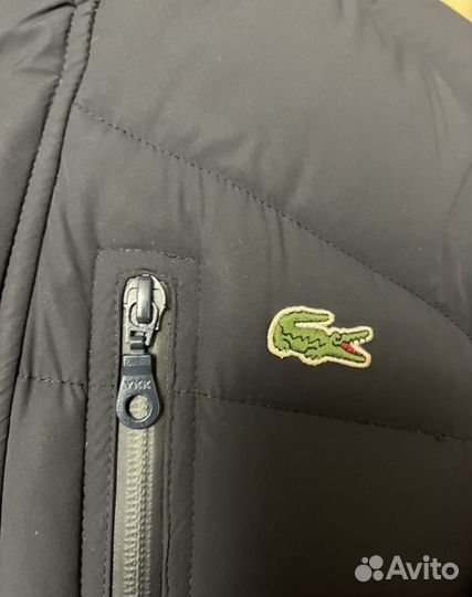 Пуховик lacoste