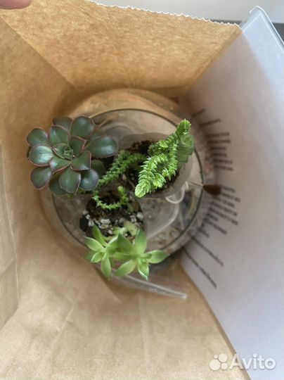 Набор «собери сам» цветочная композиция