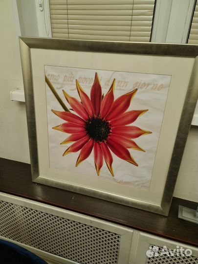 Постер в рамме