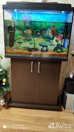 Аквариум