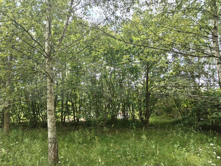 Участок 6 сот. (СНТ, ДНП)