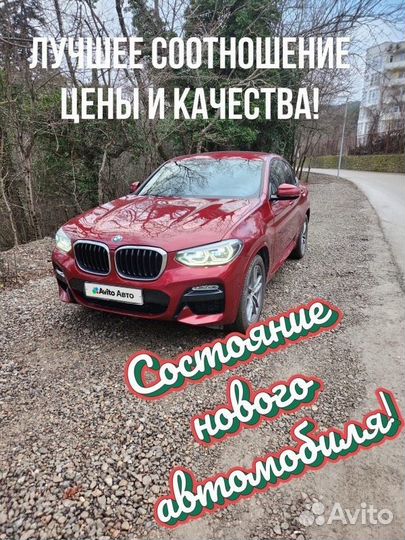 BMW X4 2.0 AT, 2018, 24 200 км