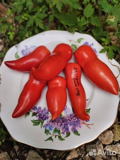 Семена томатов набор