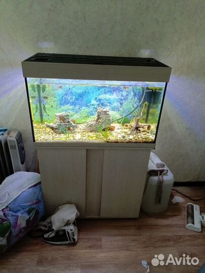 Аквариум Биодизайн Риф 125 с тумбой