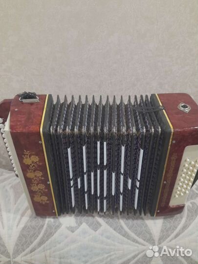 Гармонь нарач2