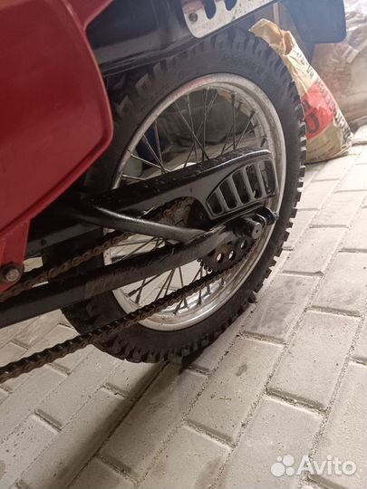 Зид пилот 50