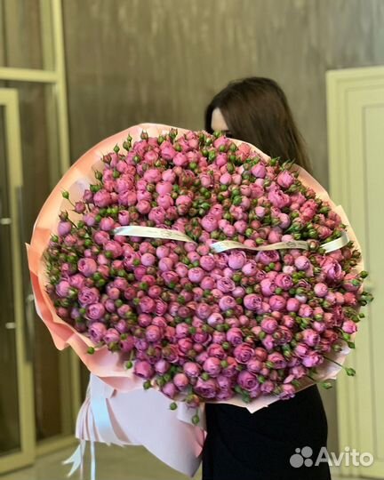 101 роза, поионовидные розы