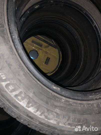 Nexen Winguard Ice 205/60 R15