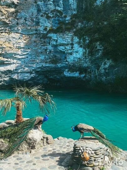 Джип-Тур по солнечной Абхазии 