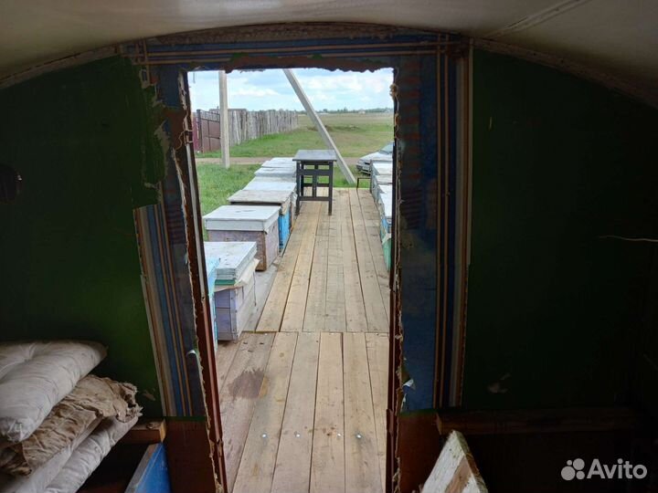 Пасека с с пчелами