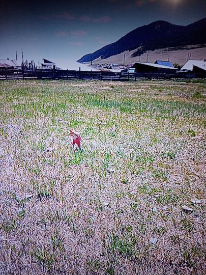 Участок 18 сот. (ИЖС)