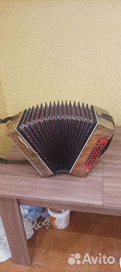 Гармонь восток