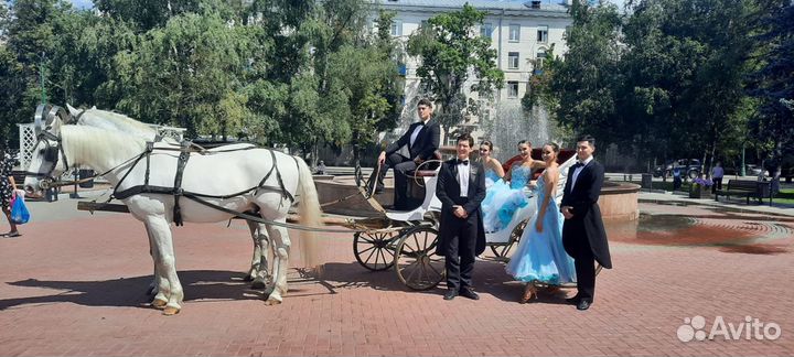 Животные на мероприятия лошади,пони,кареты,сани