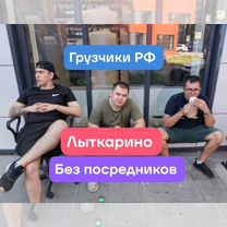 Услуги грузчиков переезды вывоз мусора такелаж, Лыткарино