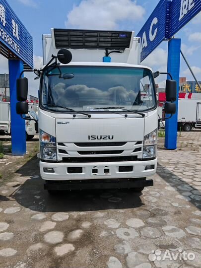 Isuzu Elf (N-series), 2024