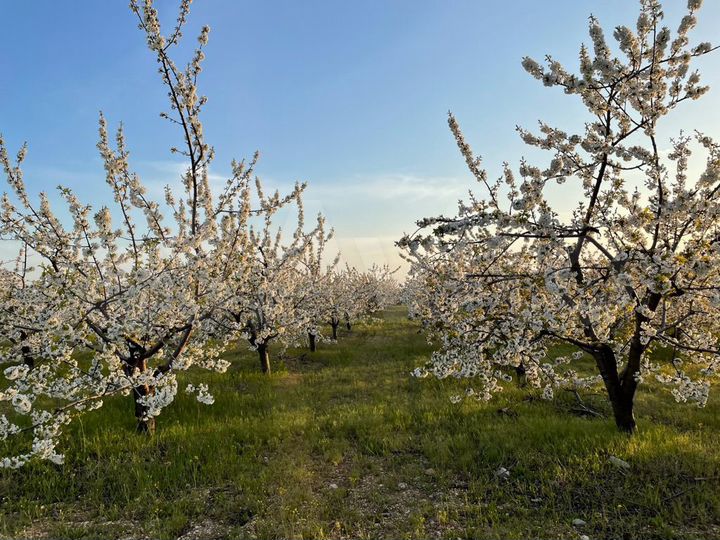 Участок 4,5 га (СНТ, ДНП)